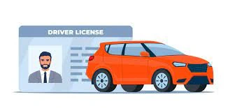 types of driver licenses